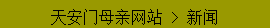 Text Box: 天安门母亲网站 > 新闻